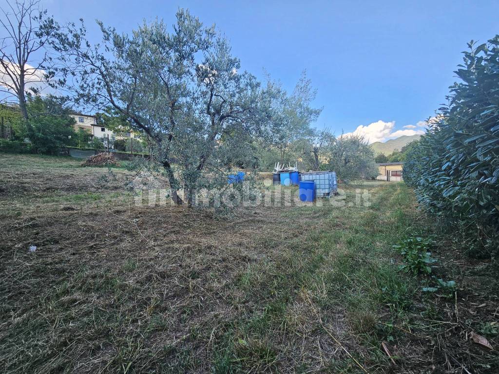 Terreno