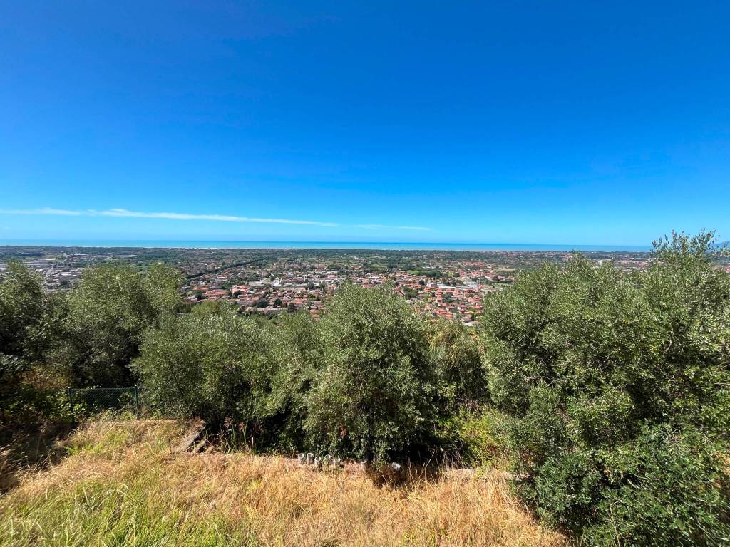 Villa in Pietrasanta - view 1