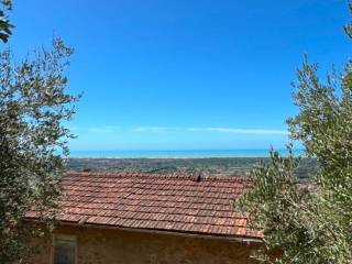 Vista