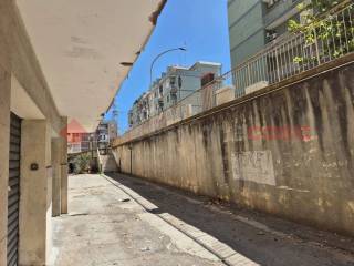 Zona