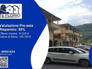 Zona