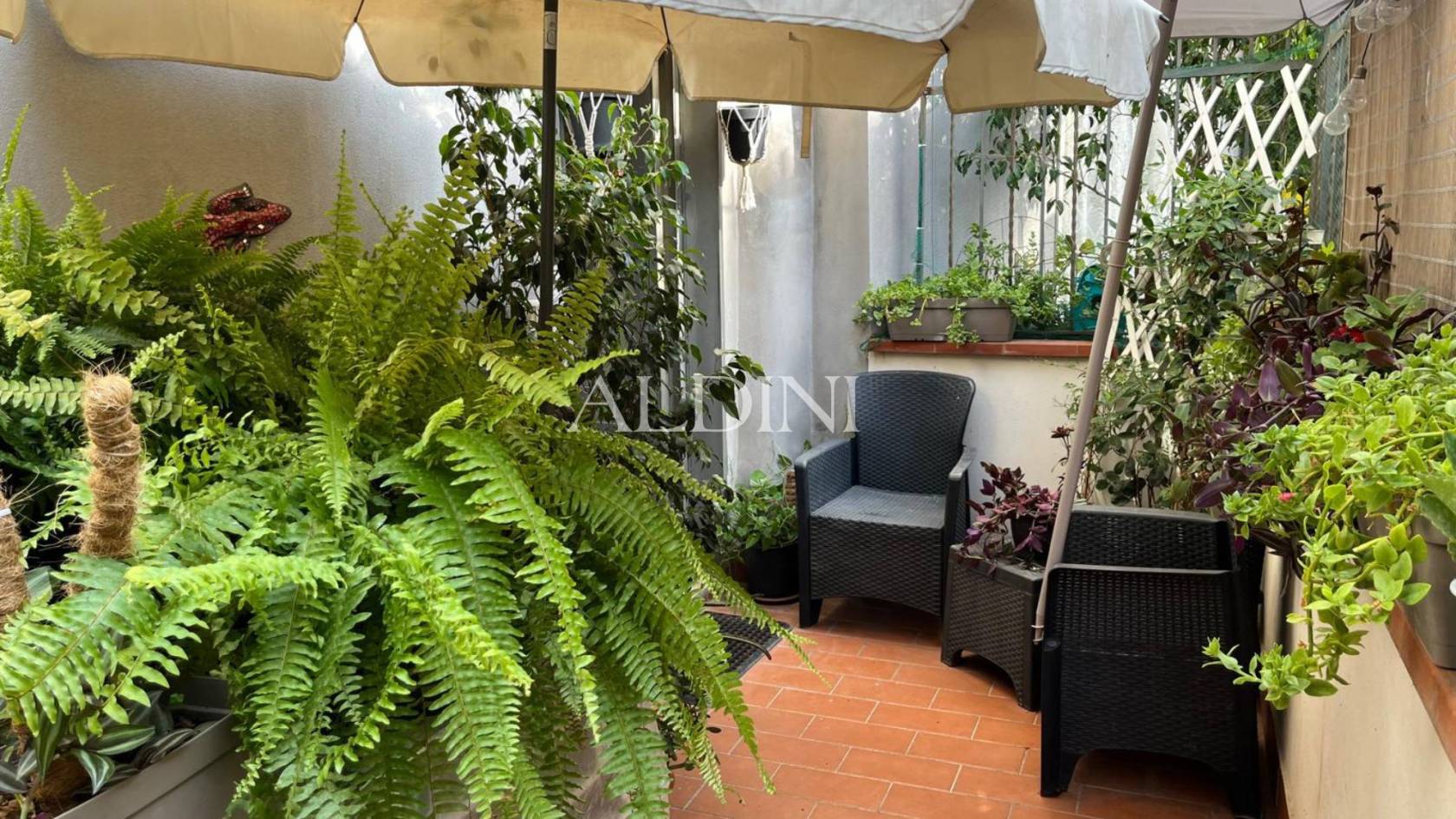 Appartamento in affitto a Catania