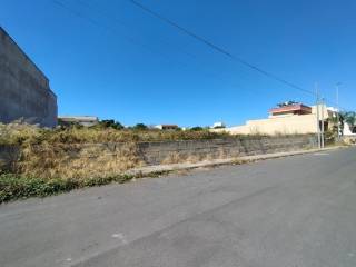 Zona