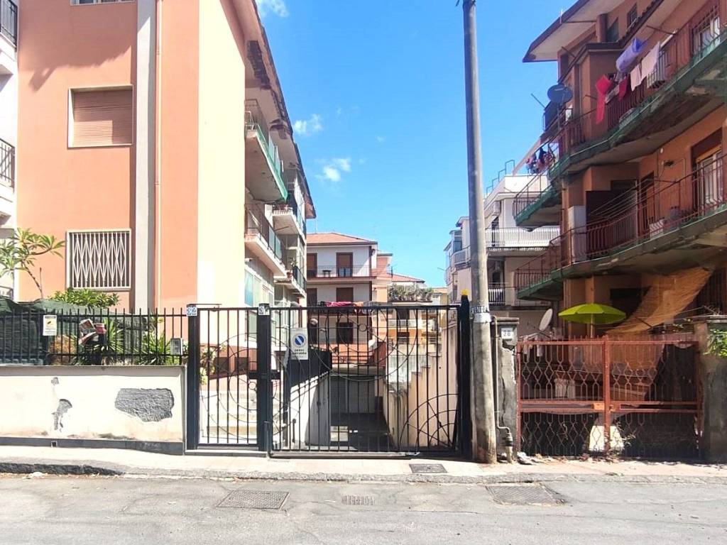 Zona