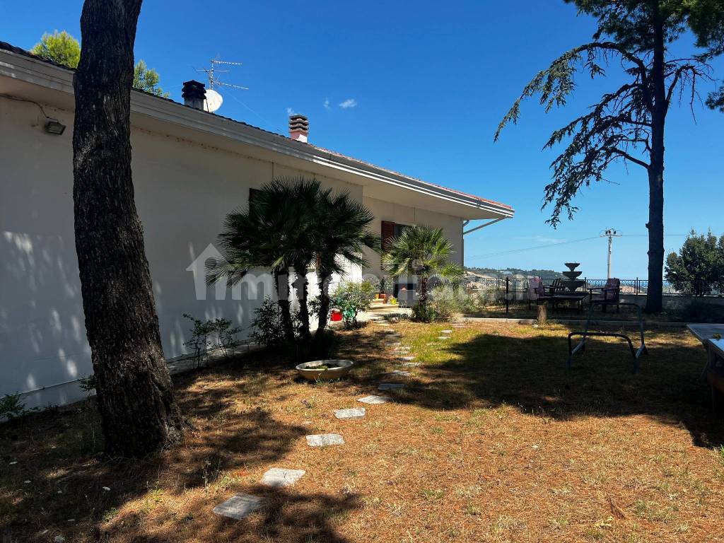 Giardino