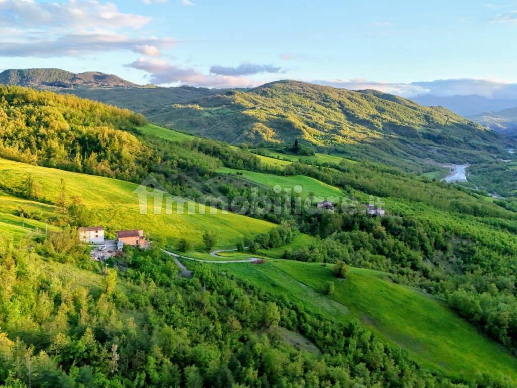 Vista