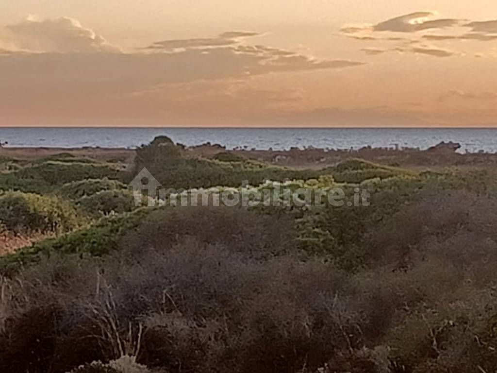 Vista