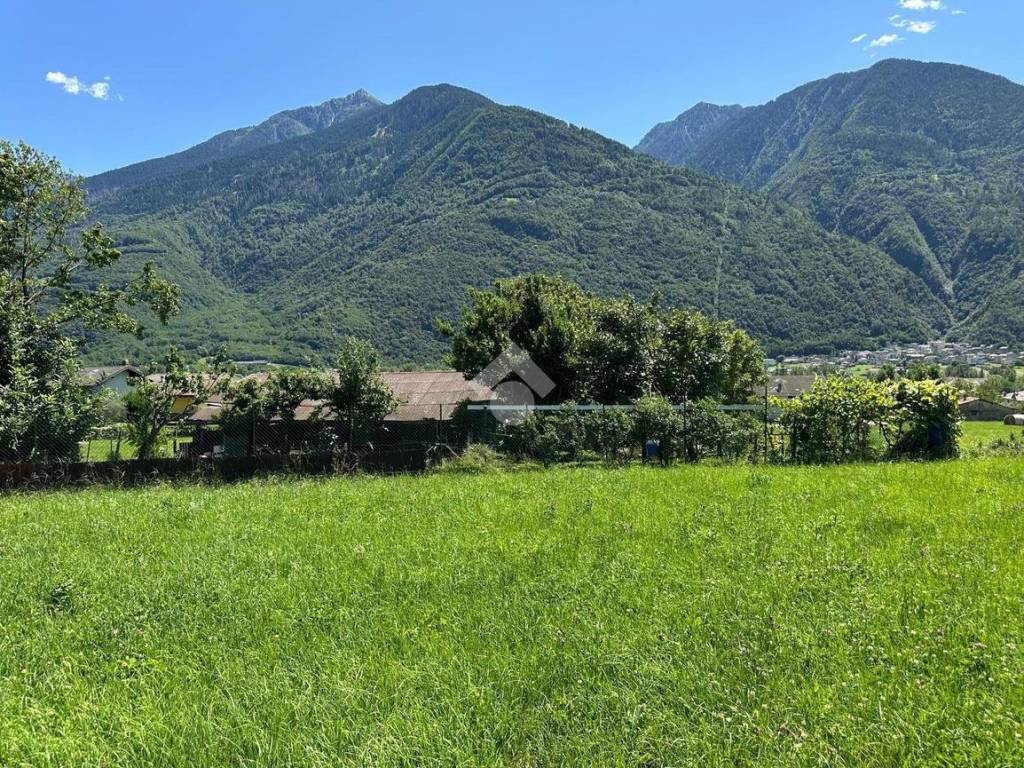 Terreno