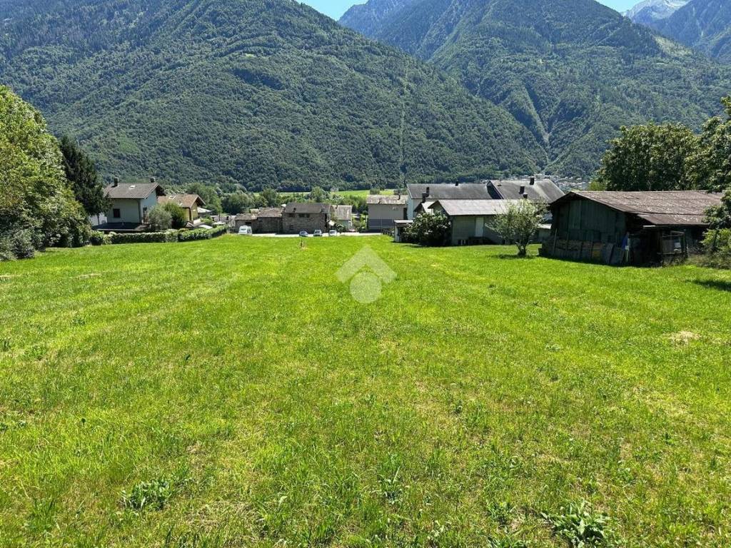 Terreno