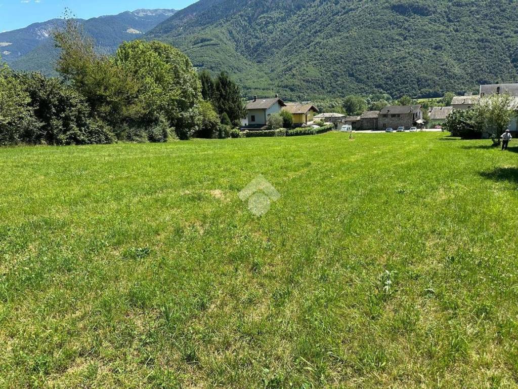 Terreno