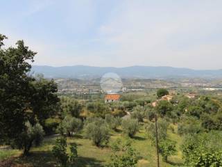Vista
