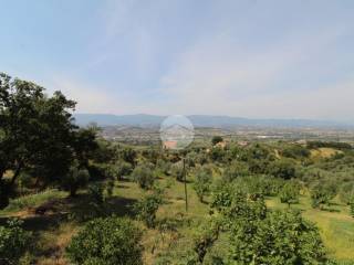 Vista