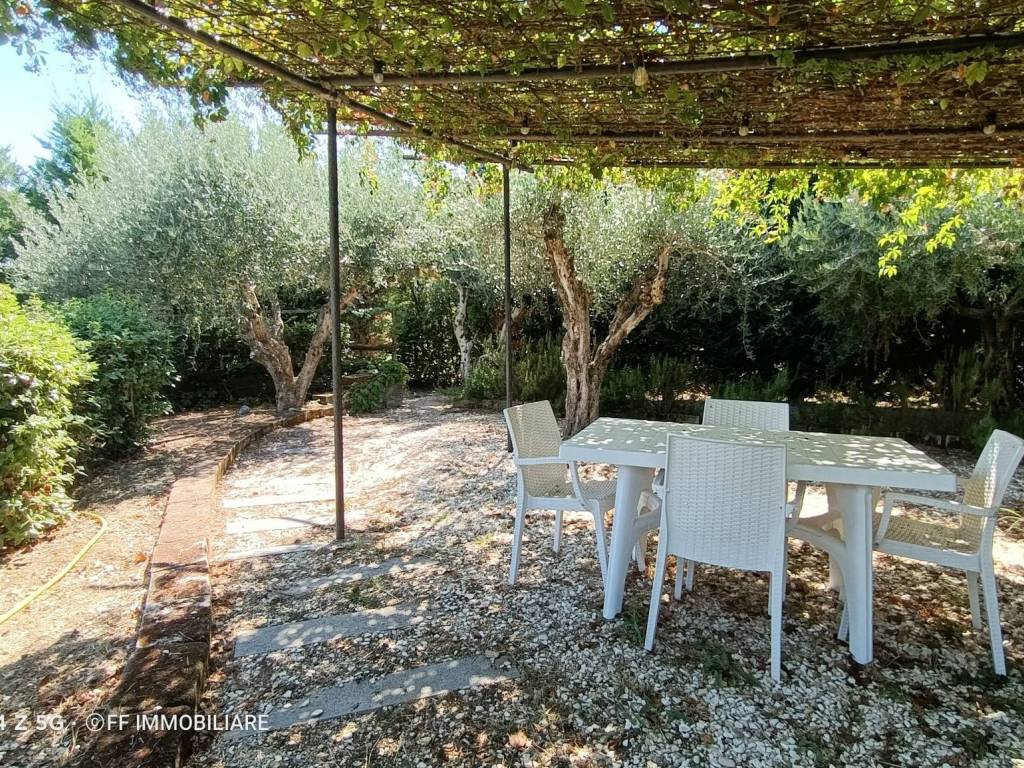 Giardino