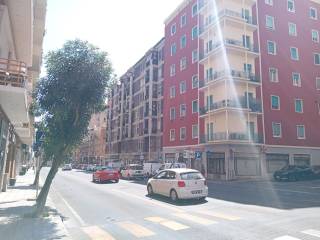 Zona