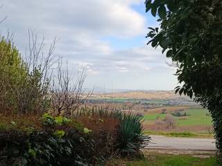Vista