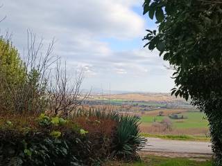 Vista