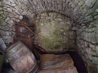 Cantina