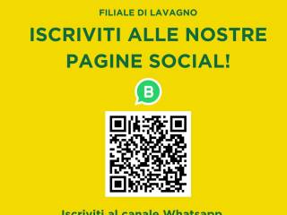 Altro