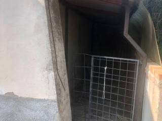 Cantina