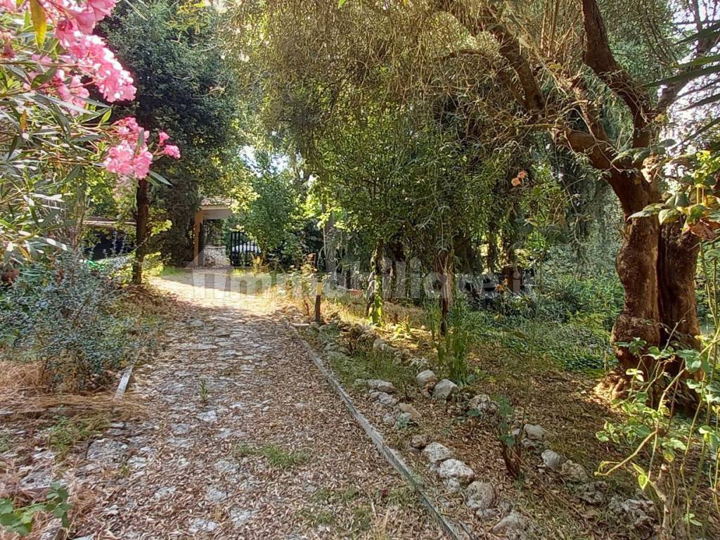 Giardino