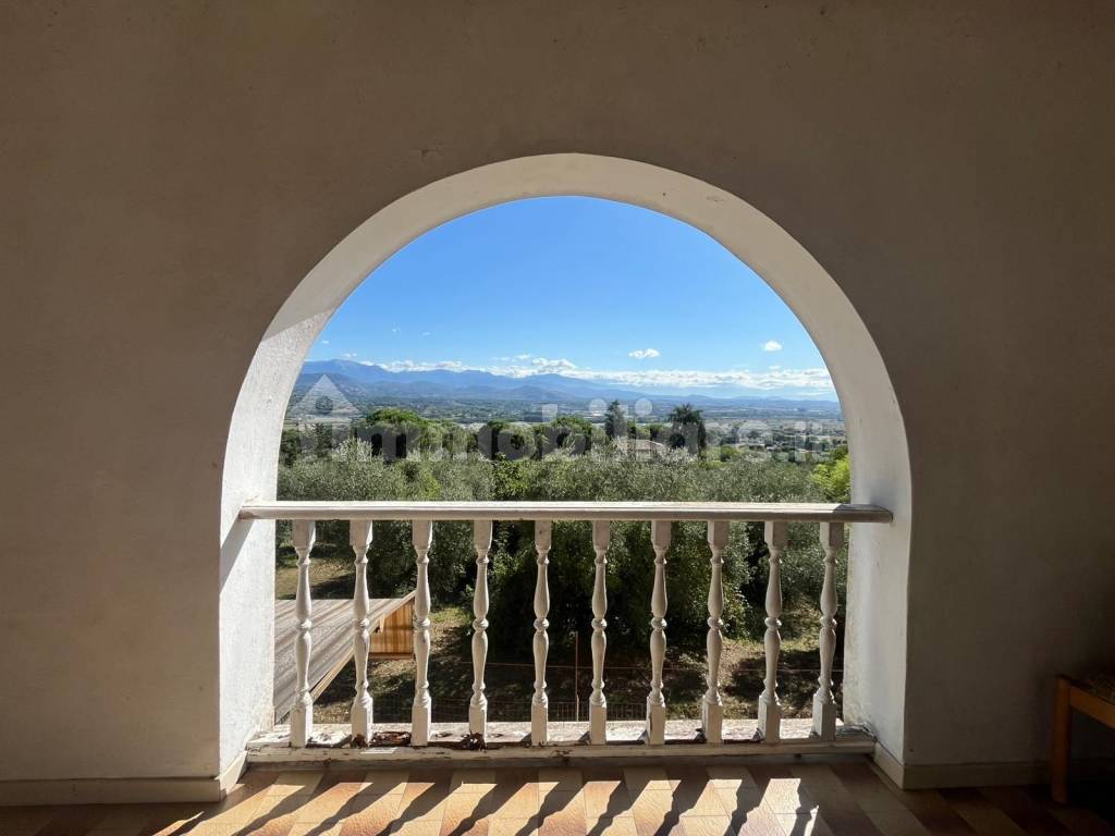 Vista