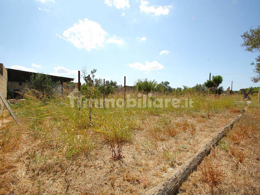 Terreno