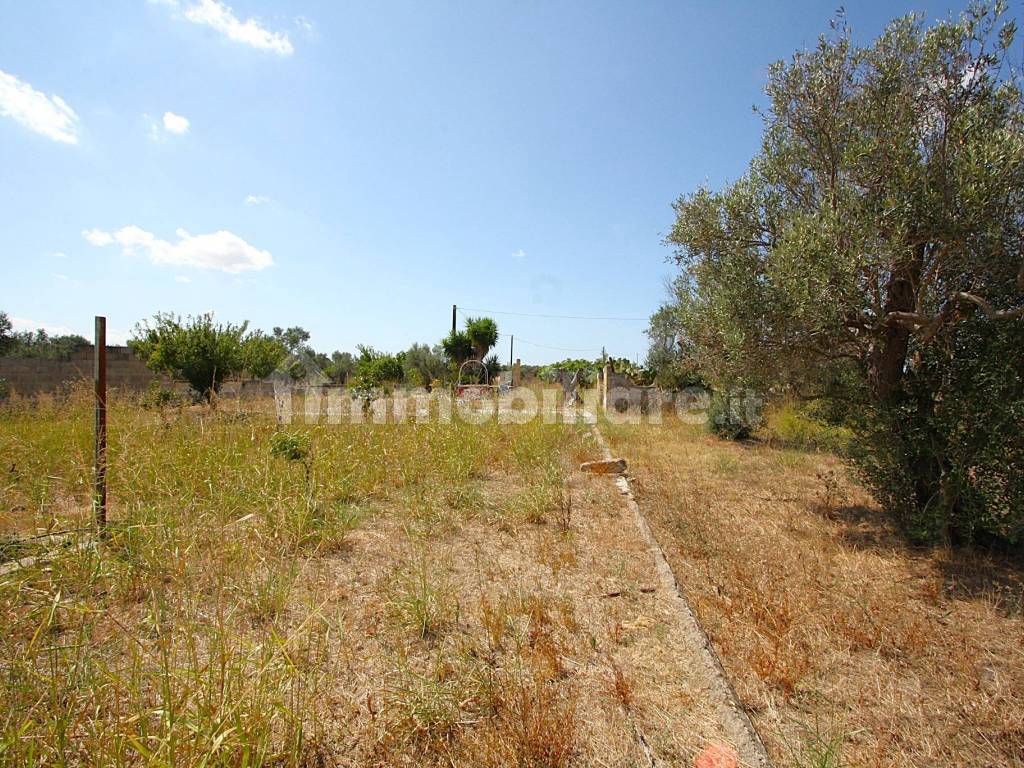Terreno