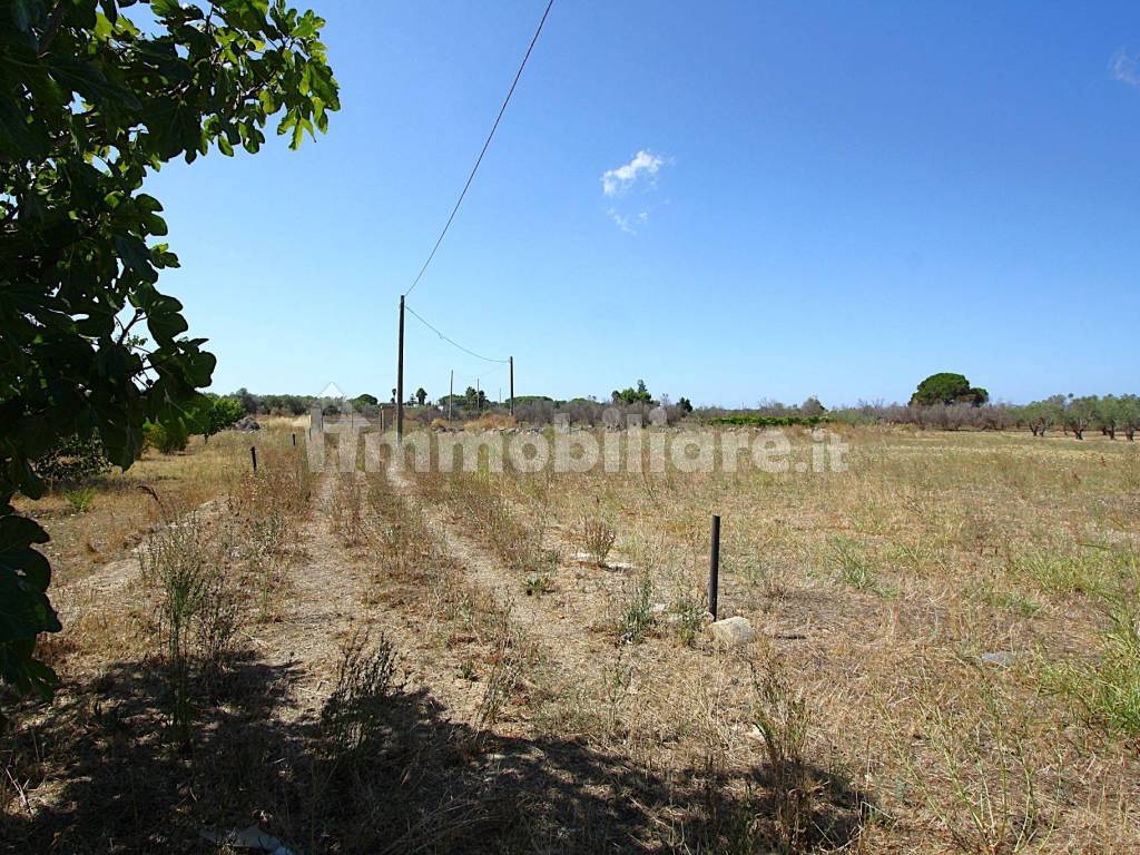Terreno