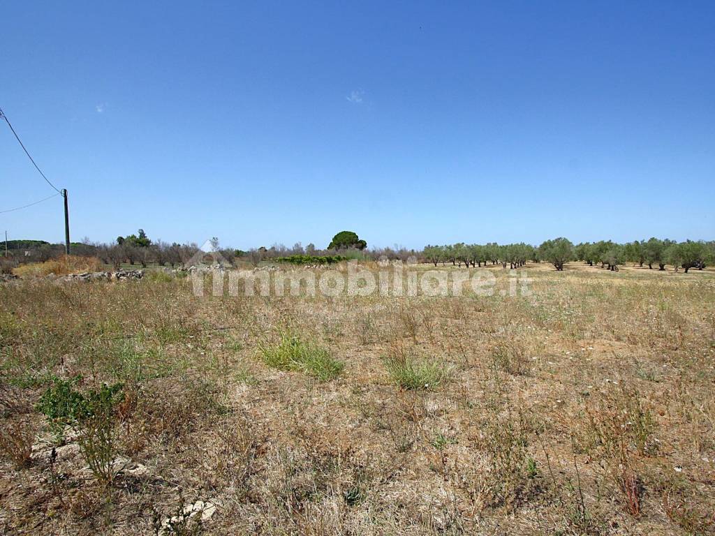 Terreno