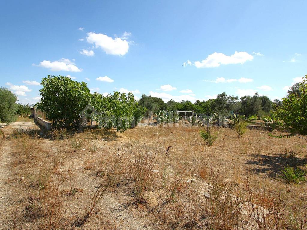 Terreno
