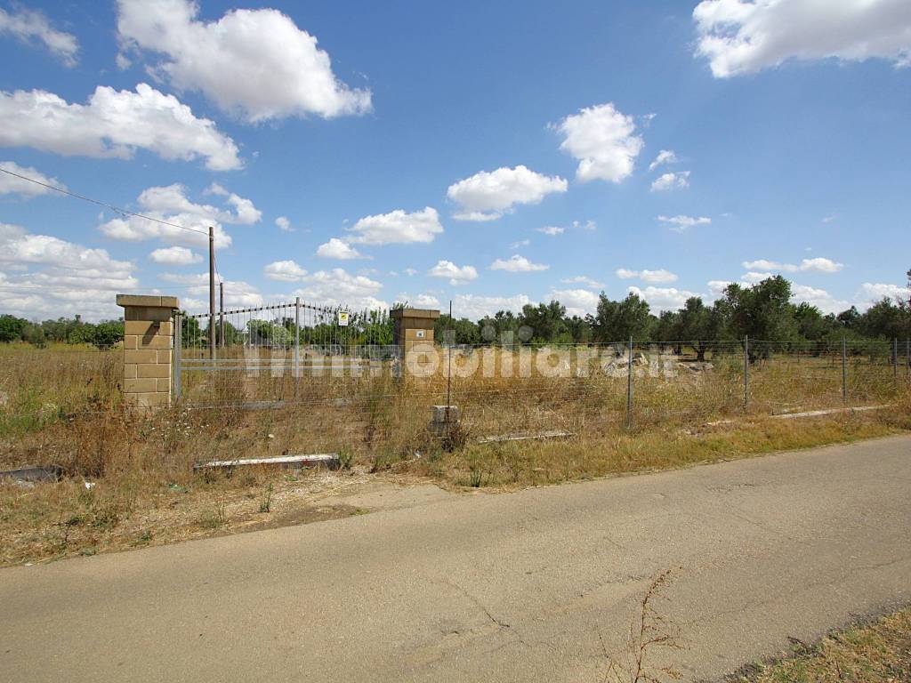 Terreno