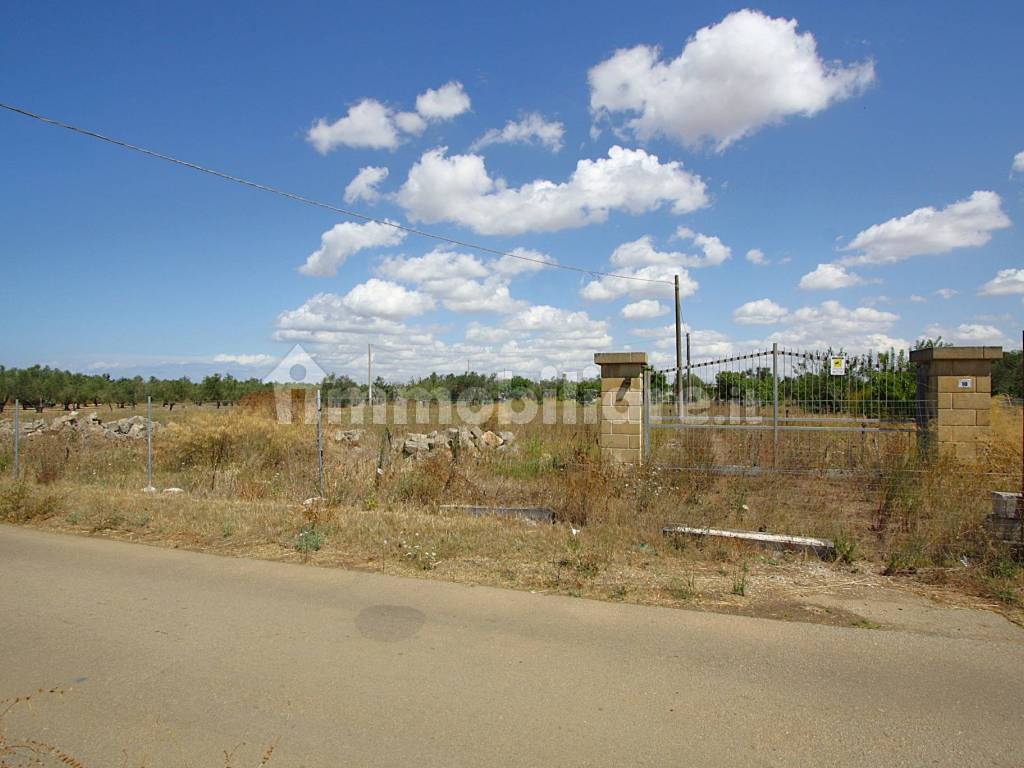 Terreno
