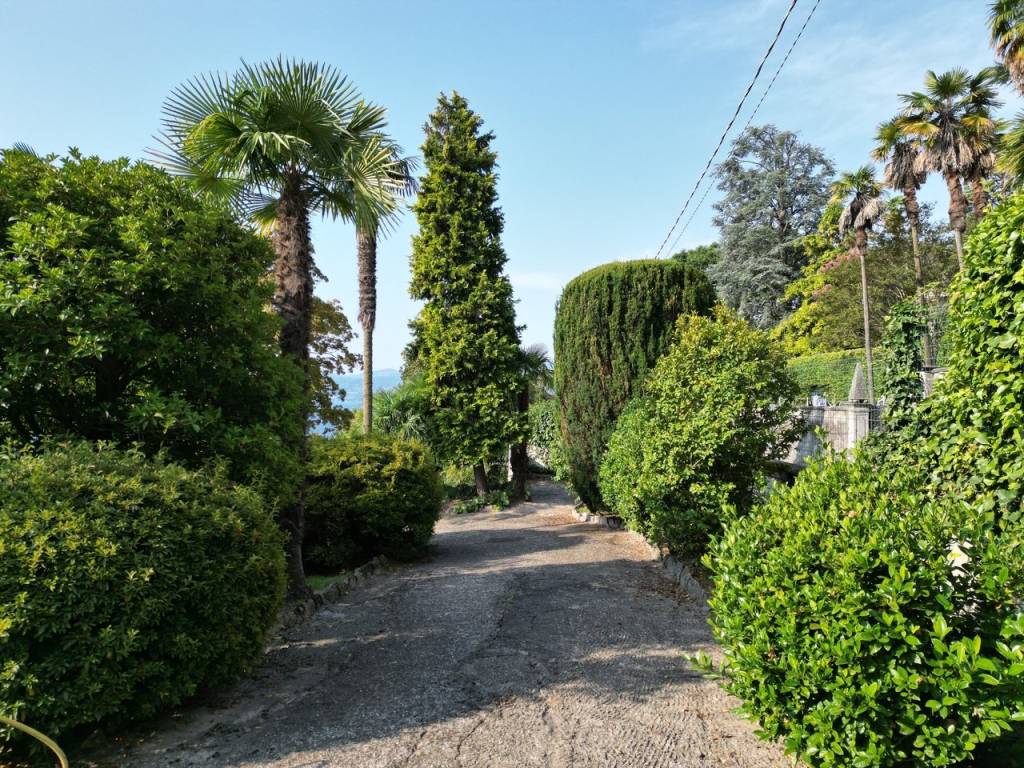 Giardino