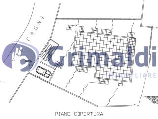 Planimetria