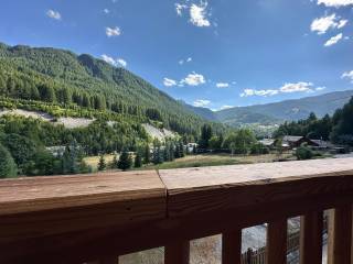 Vista
