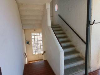 Scala