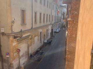 Zona