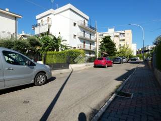 Zona