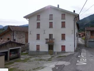 Zona