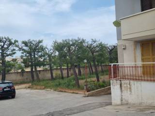 Zona
