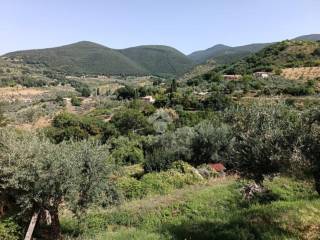 Vista