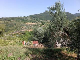 Vista