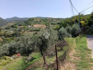 Vista