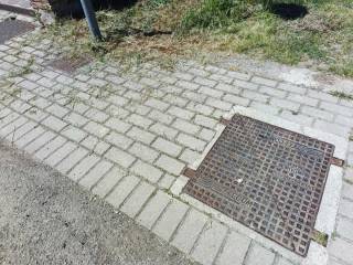 Altro