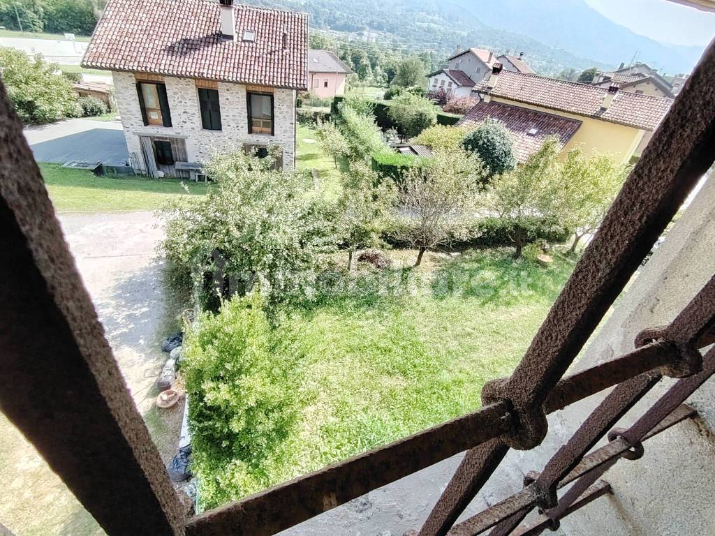 Vista