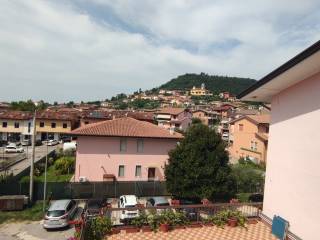 Vista