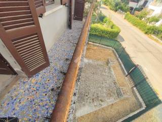 Zona