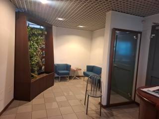 Ingresso