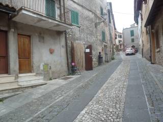 Zona
