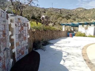 Zona